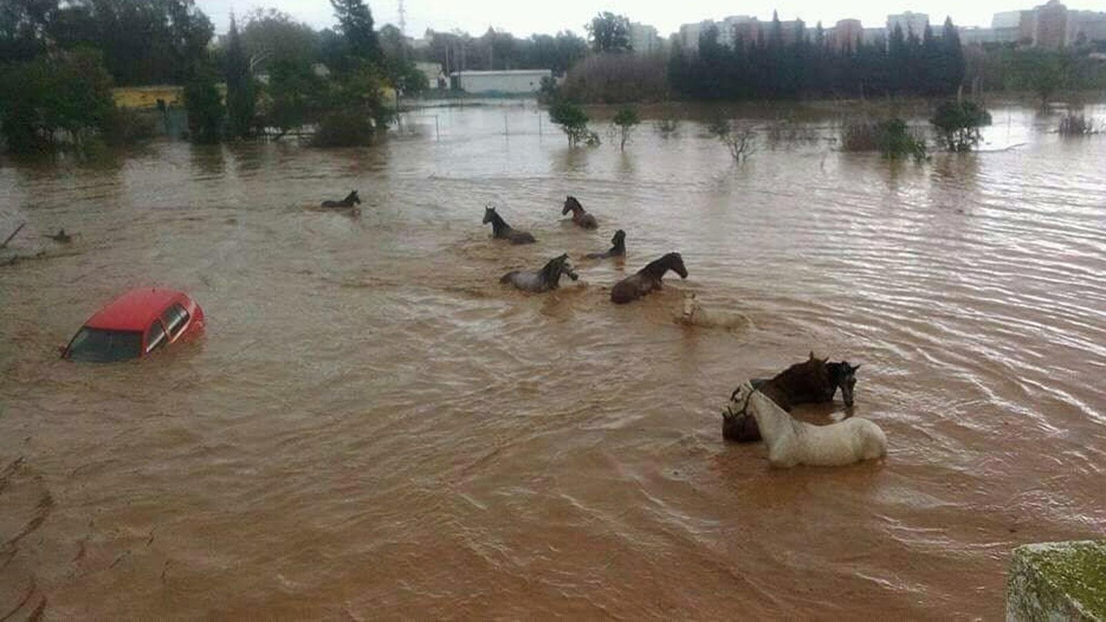 La lluvia arrasa en Málaga