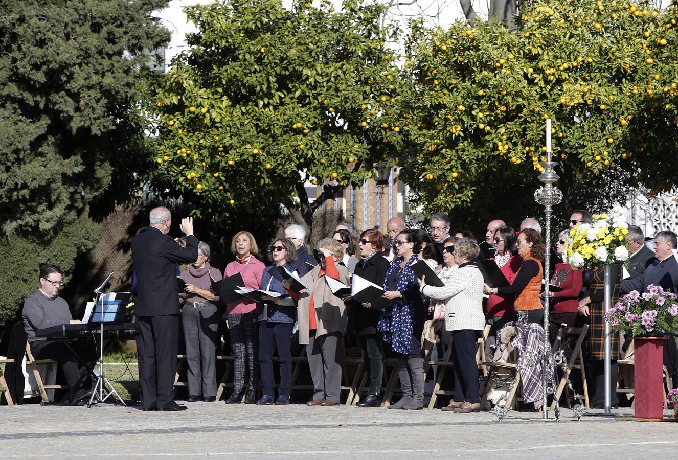 Multitudinaria celebración de la Virgen de Loreto en Tablada