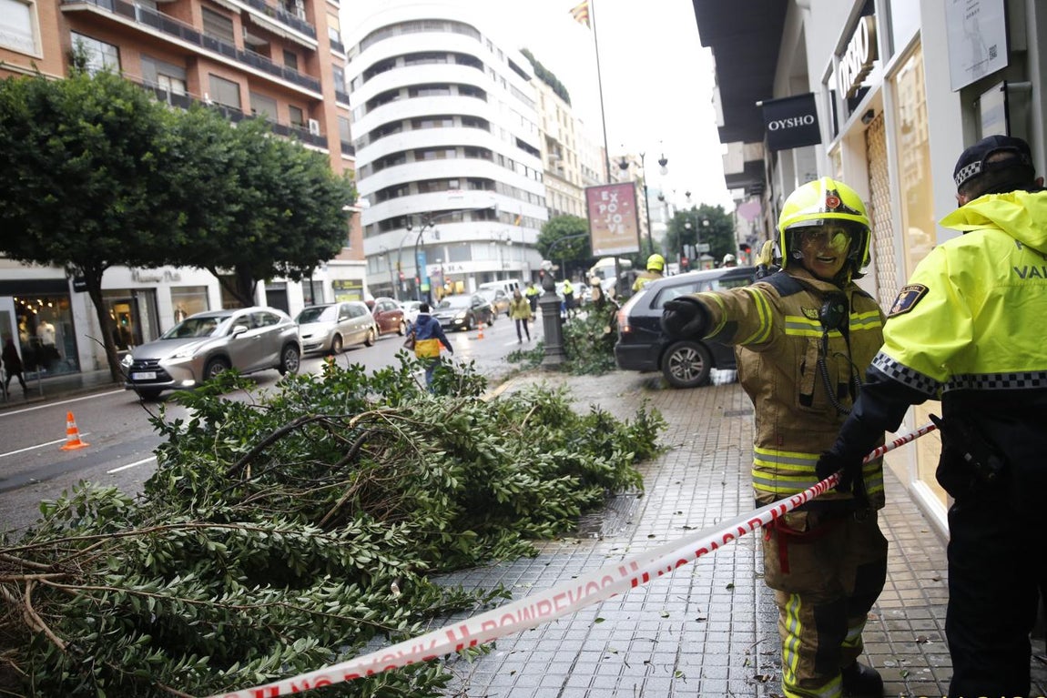 Calle Colón, Valencia. 