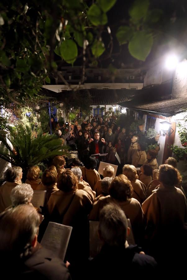 La Navidad en los Patios, en imágenes