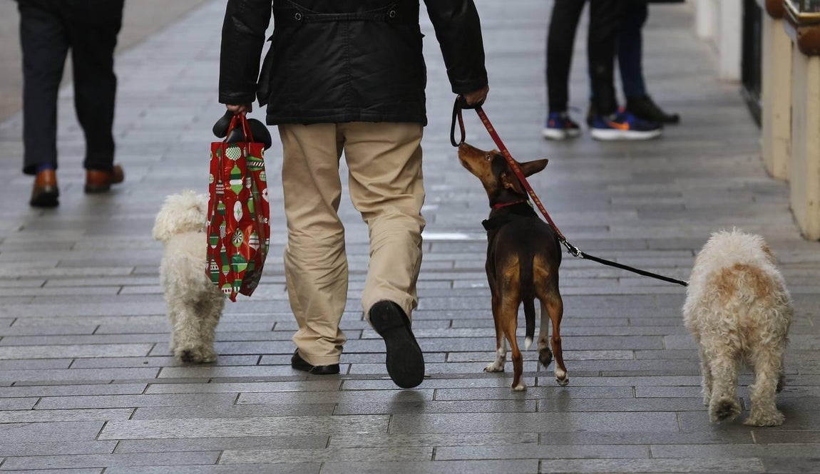 Las mejores imágenes de la fiebre de las rebajas que no cesa