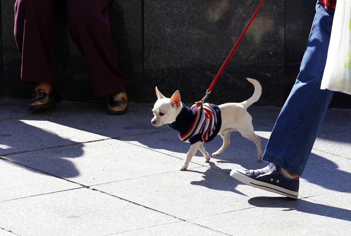 El frío que están pasando los cordobeses, en imágenes