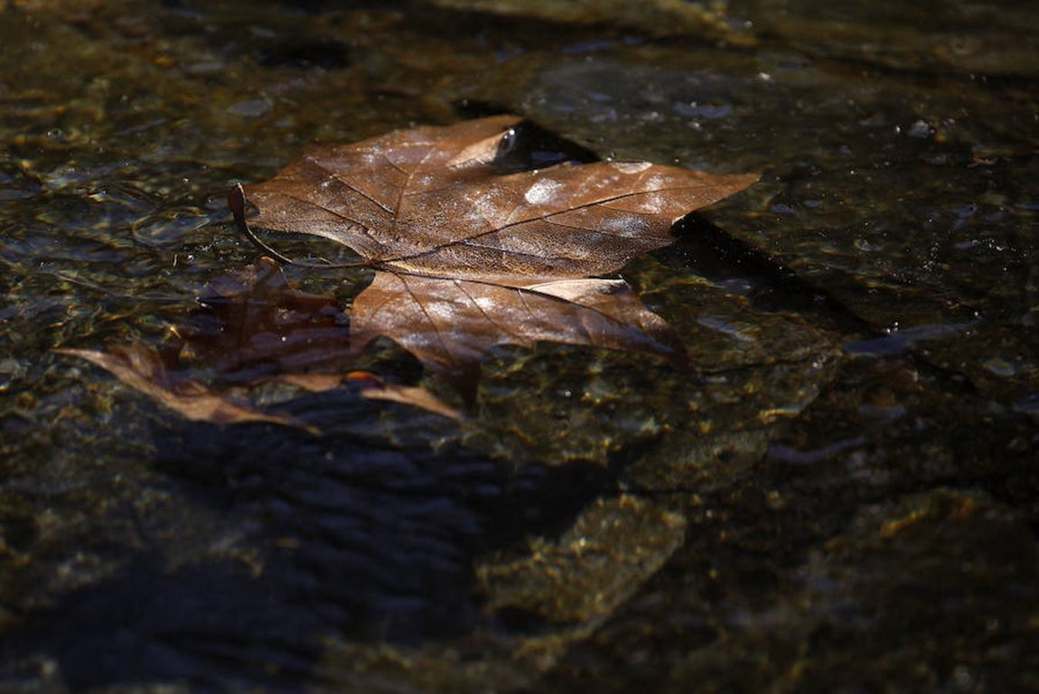 Las imágenes más impactantes de la ola de frío. Una capa de hielo cubre el estanque dela Plaza de Colón, como consecuencia del cual todas las comunidades autónomas menos Canarias están en alerta naranja o amarilla.