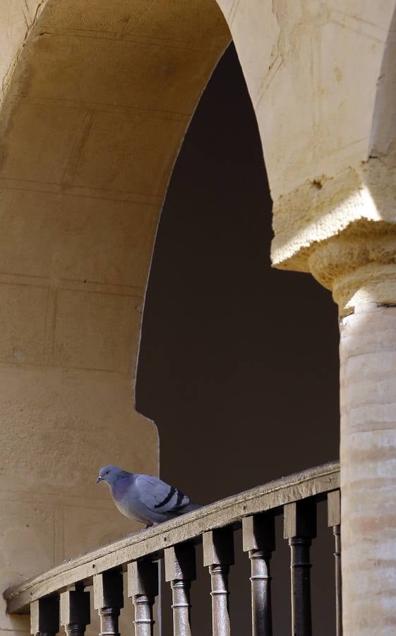 La casa de Inca Garcilaso, en imágenes
