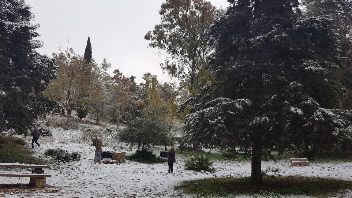Las mejores imágenes de la nieve en las sierras de Sevilla