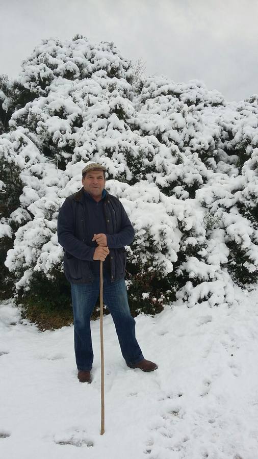 La nieve cubre de un manto blanco la Sierra de Cádiz