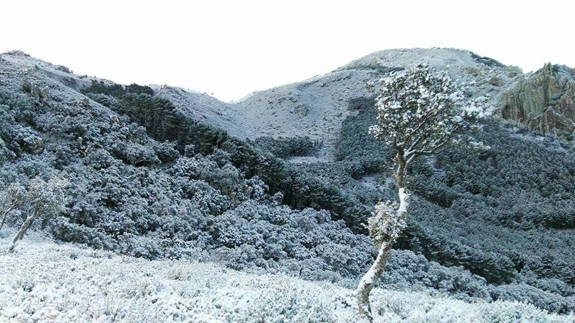 La nieve cubre de un manto blanco la Sierra de Cádiz