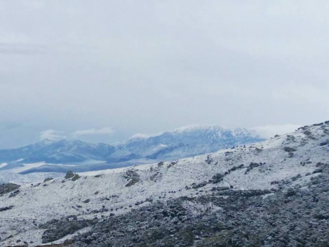La nieve cubre de un manto blanco la Sierra de Cádiz