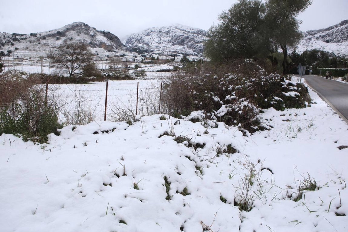 La nieve cubre de un manto blanco la Sierra de Cádiz