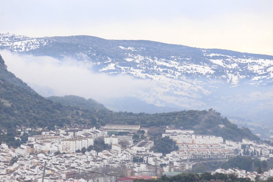 La nieve cubre de un manto blanco la Sierra de Cádiz
