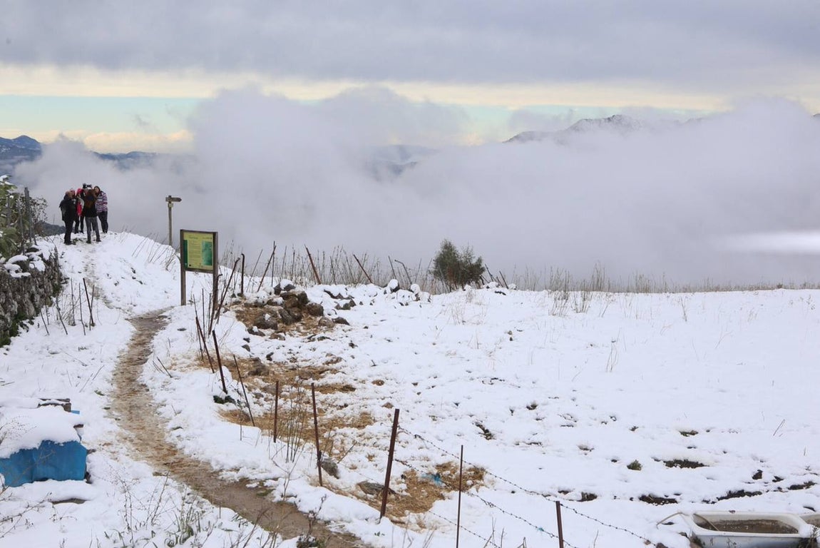 La nieve cubre de un manto blanco la Sierra de Cádiz