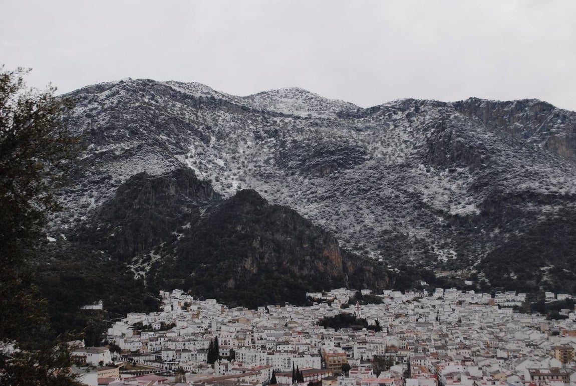 La nieve cubre de un manto blanco la Sierra de Cádiz