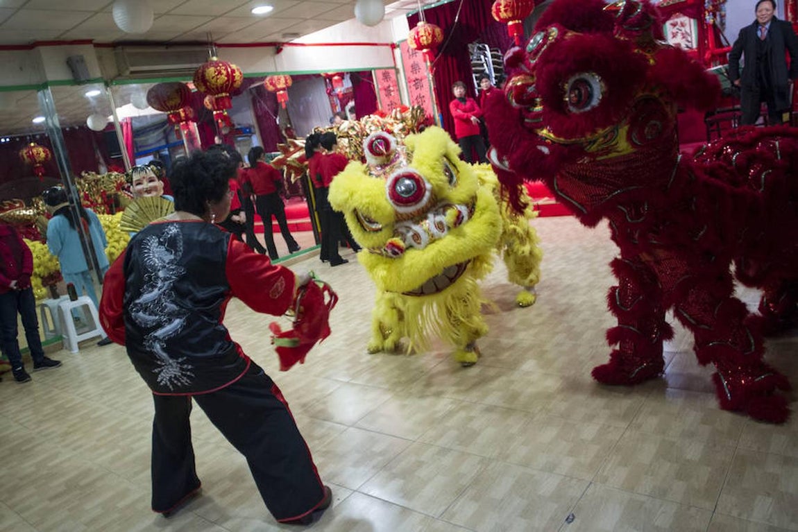 3. En los ensayos, con los dos leones que acompañarán el desfile del sábado 28 a las 11 de la mañana