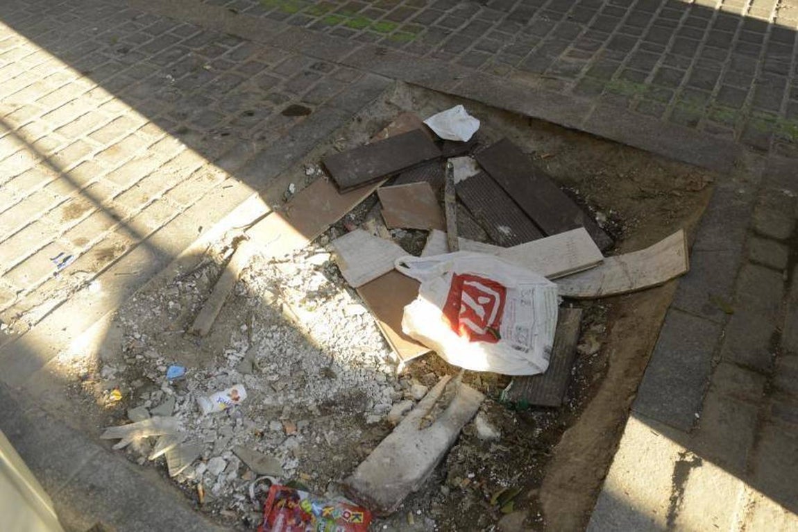 En pleno delirio concluyó que «Madrid está muy bonito y limpio. 