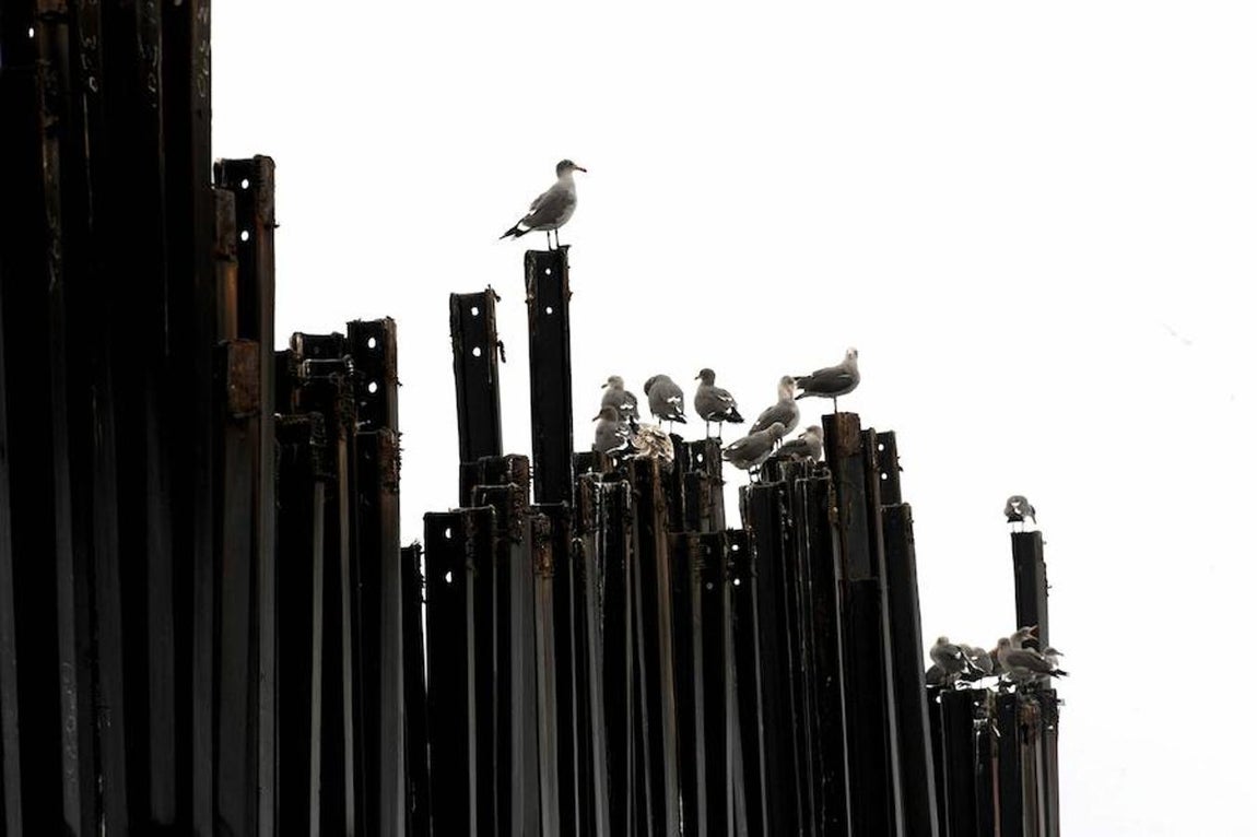 Reja en San Ysidro (California) que separa México y Estados Unidos. 