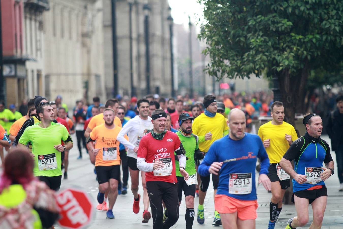 ¿Has corrido la Media Maratón de Sevilla? ¡Búscate en las imágenes!