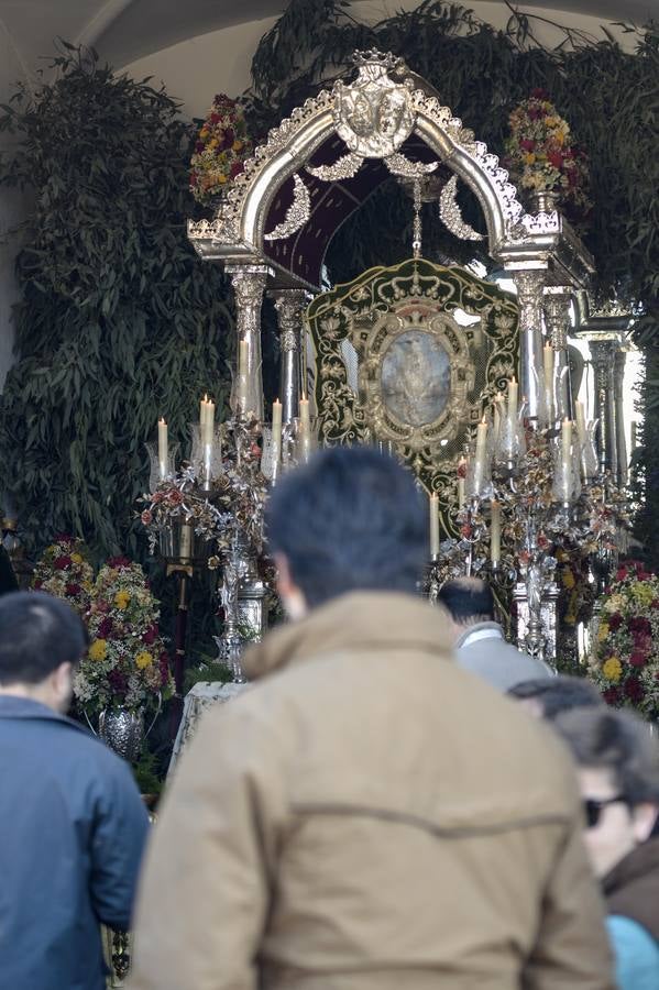 La peregrinación extraordinaria a la aldea de El Rocío, en imágenes