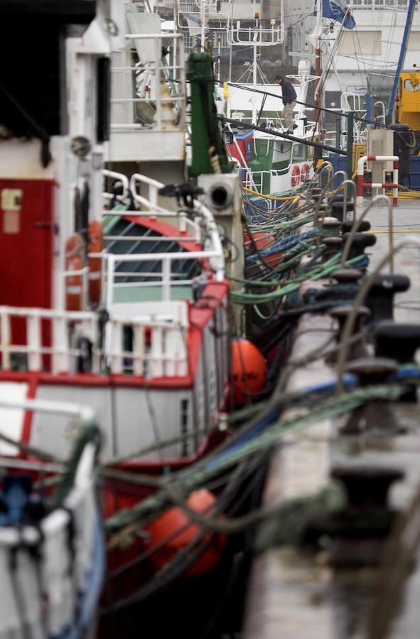 Flota amarrada en Burela. 