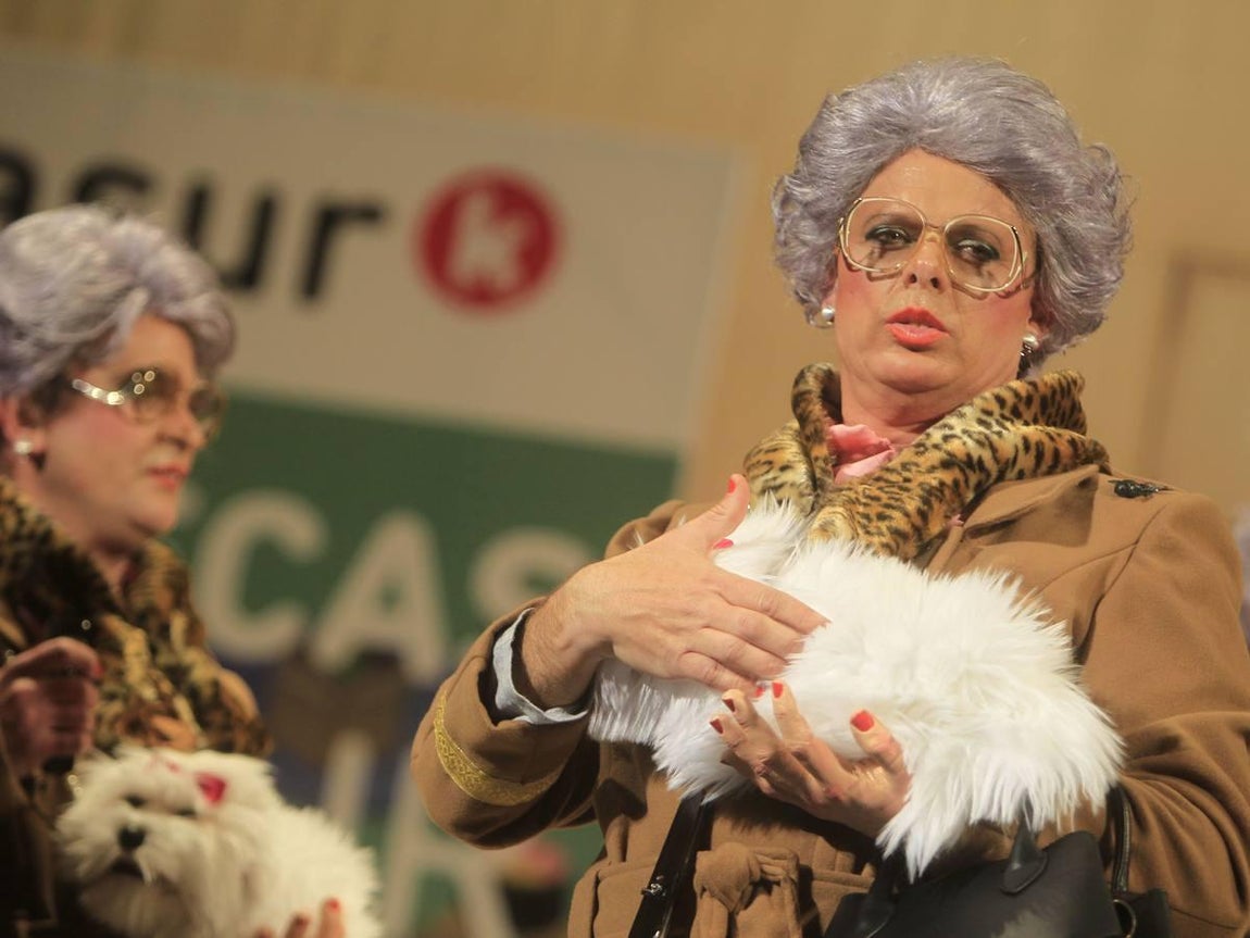 Fotos: Chirigota Mi suegra como ya dije