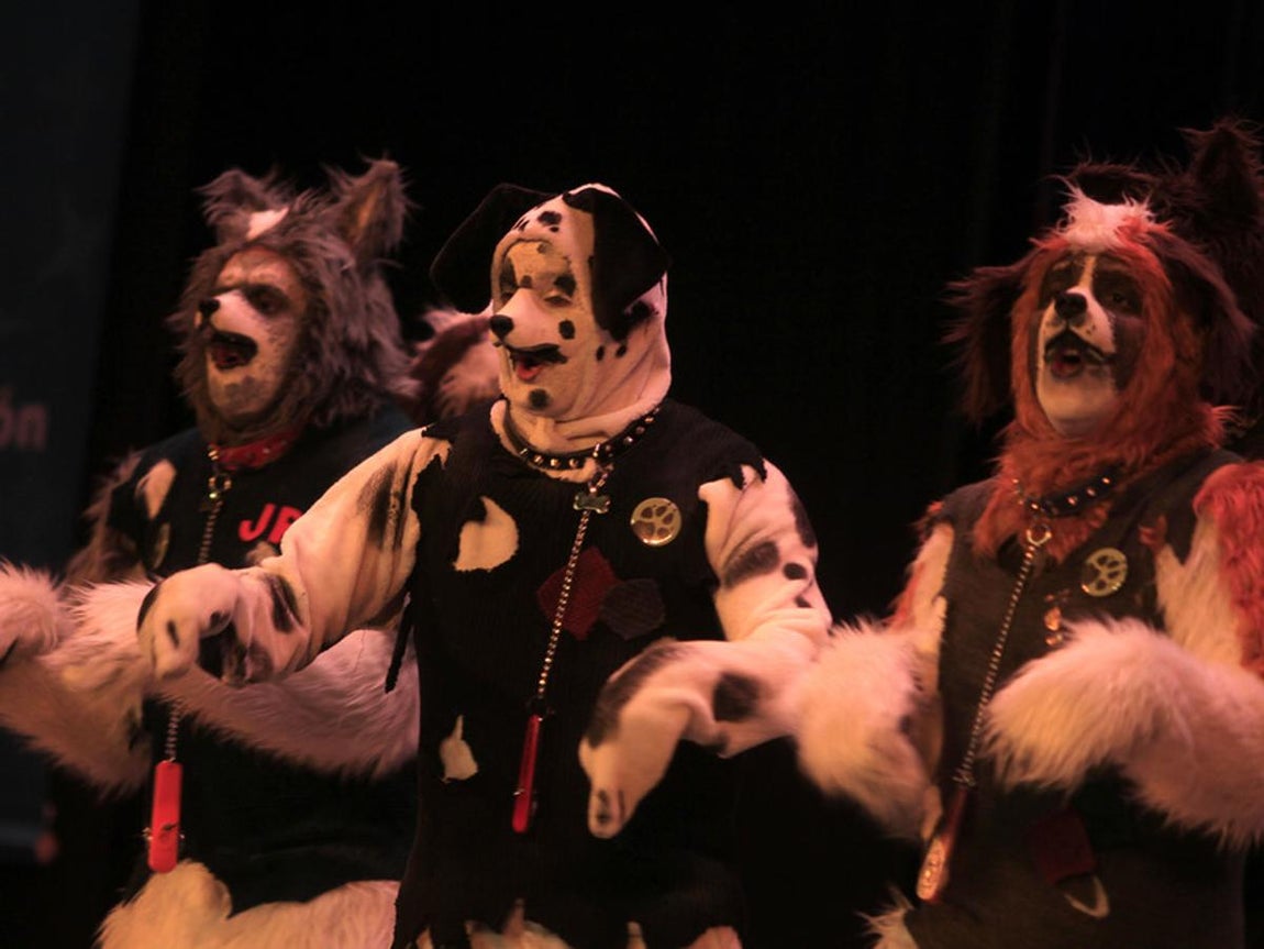 Fotos: Comparsa Los incondicionales. COAC 2017