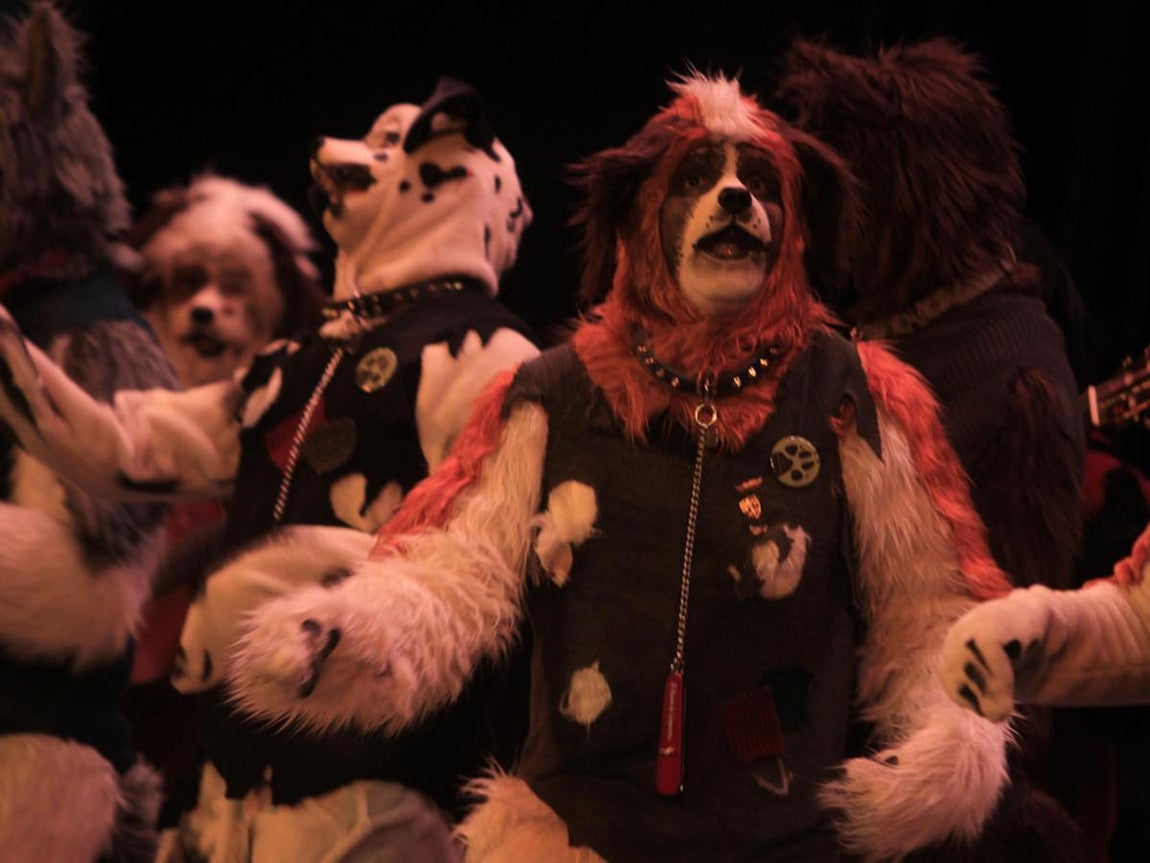 Fotos: Comparsa Los incondicionales. COAC 2017