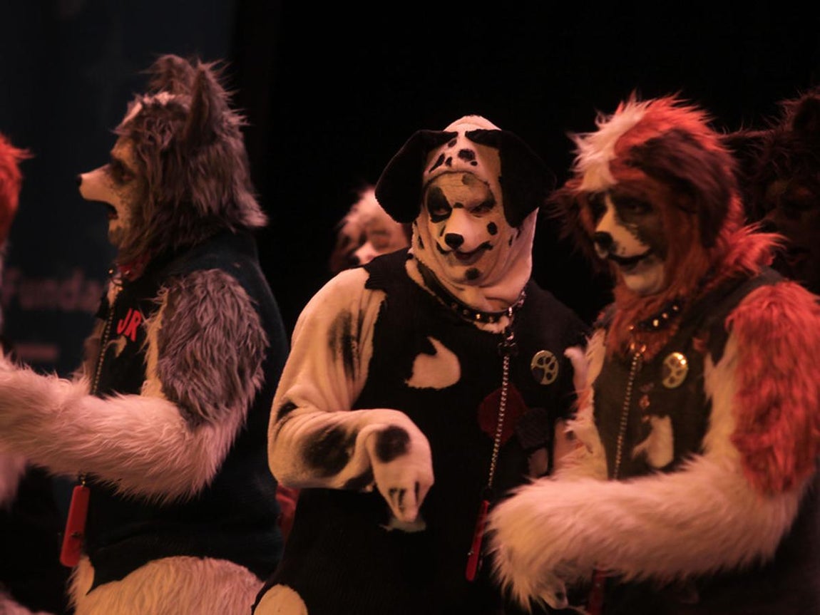 Fotos: Comparsa Los incondicionales. COAC 2017