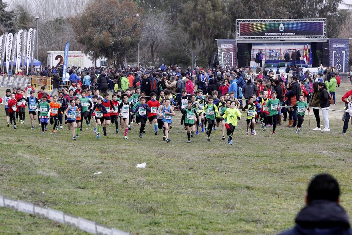Unos 700 atletas participan en el Cross de Sonseca