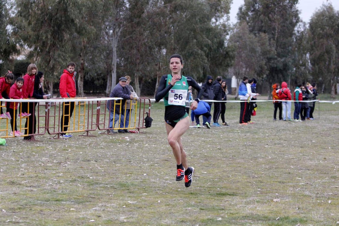 Unos 700 atletas participan en el Cross de Sonseca