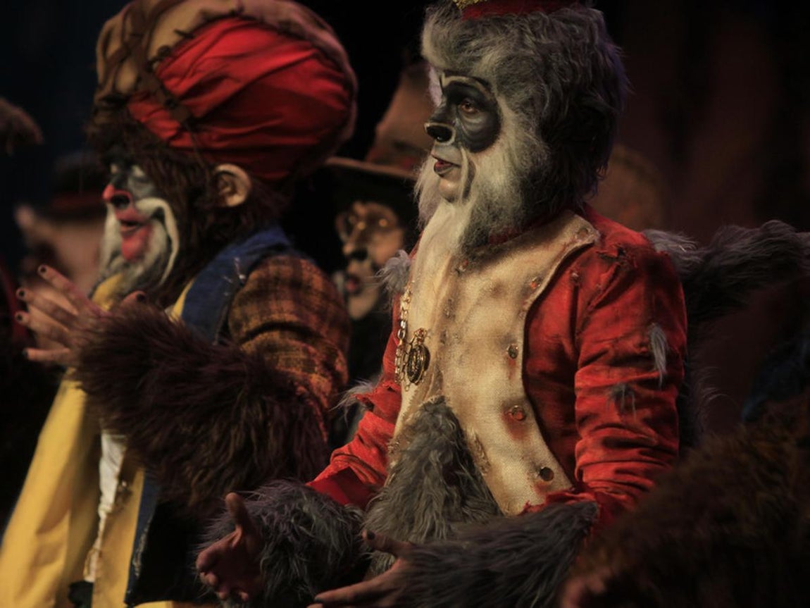 Fotos: Comparsa Los irracionales