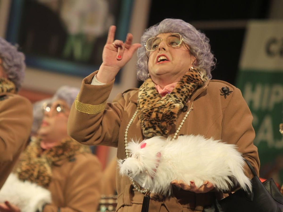 Fotos: Chirigota Mi suegra como ya dije