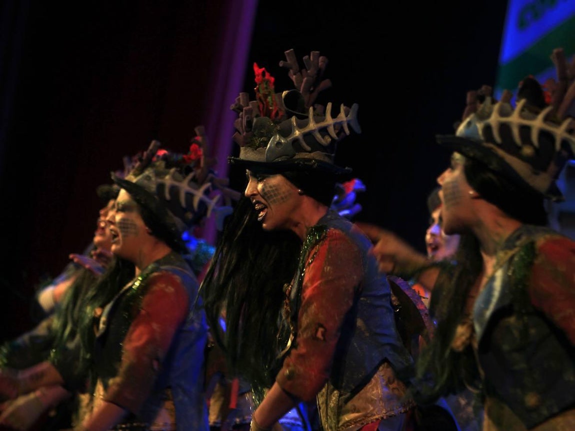 Fotos: Comparsa Cádiz