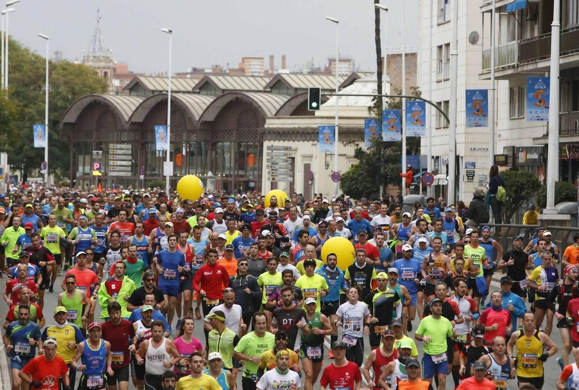 Las mejores imágenes del Zurich Maratón de Sevilla 2017