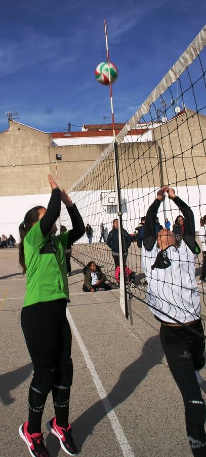 Vóley: Raminundo Lulio vs Santa Ana y San Rafael