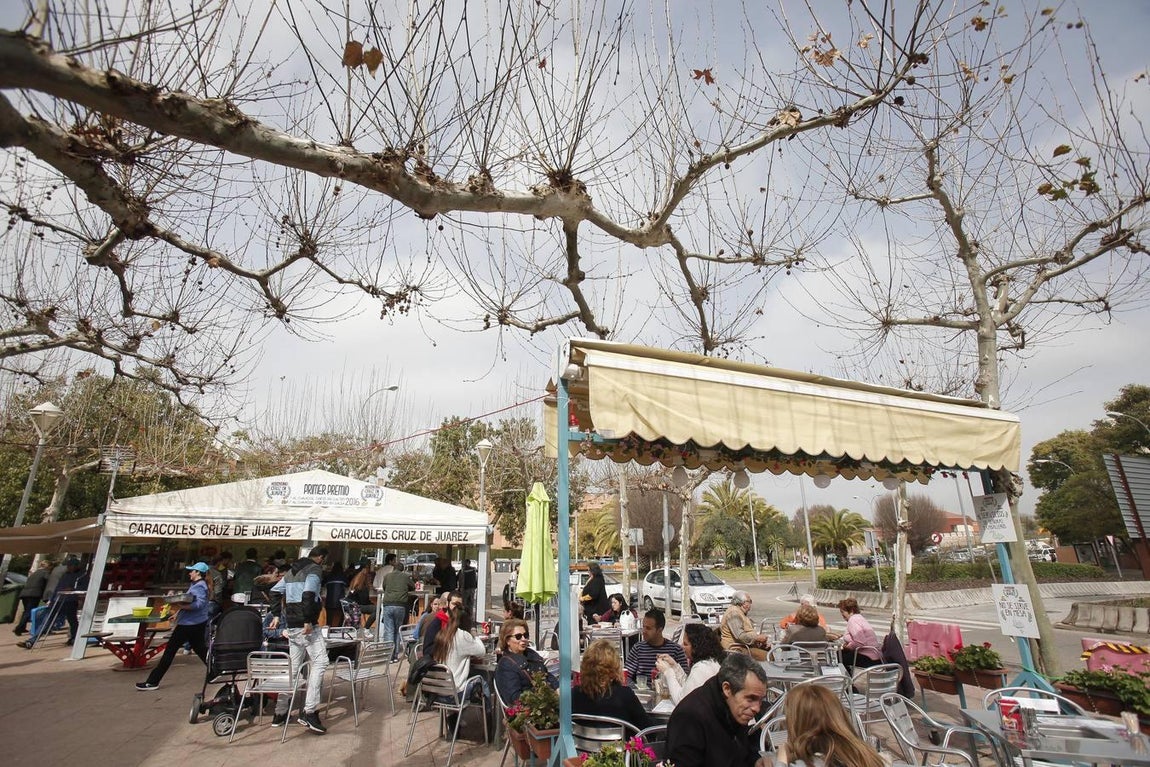 El arranque de los puestos de caracoles, en imágenes