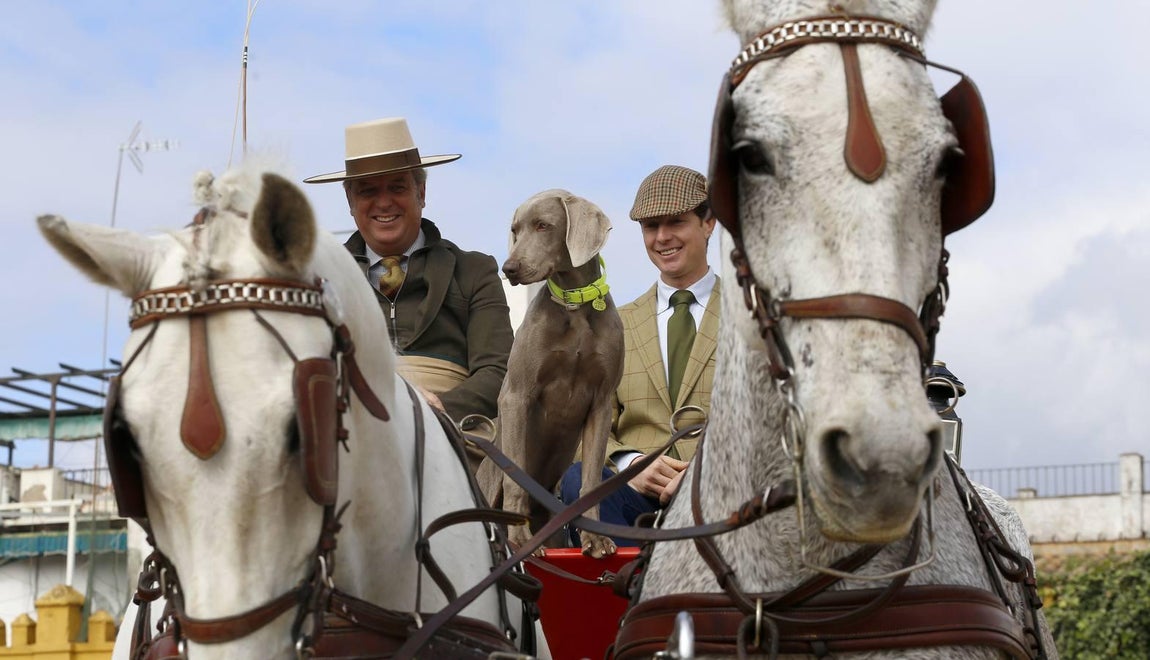 Las mejores imágenes del paseo a caballo por el Día de Andalucía en Córdoba