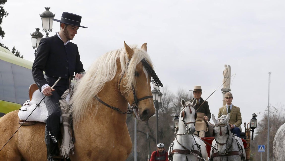 Las mejores imágenes del paseo a caballo por el Día de Andalucía en Córdoba