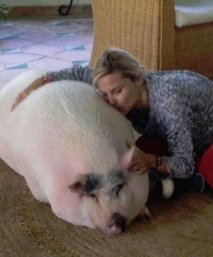 La hija de la duquesa de Alba, Eugenia Martínez de Irujo, muestra su mascota a través de Instagram. Un cerdo llamado Bacon