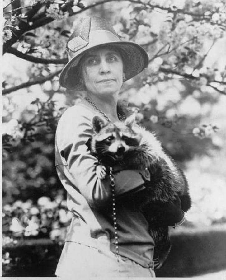 La ex Primera dama de los Estados Unidos tuvo durante un tiempo a un mapache como mascota