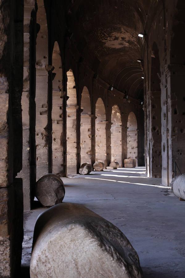 Coliseo. Imagen cortesía SS-COL. Foto Bruno Fruttini