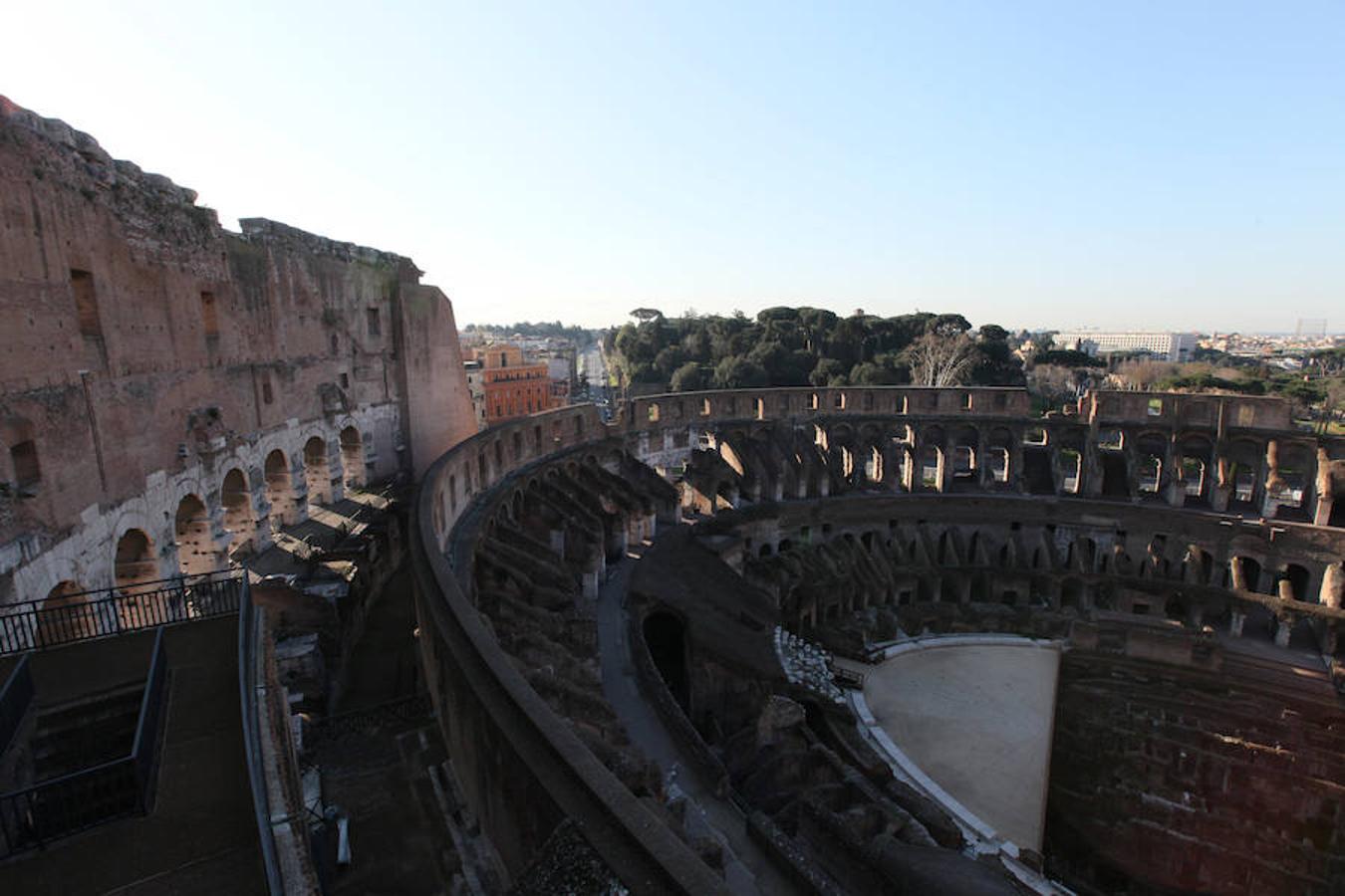 Coliseo. Imagen cortesía SS-COL. Foto Bruno Fruttini