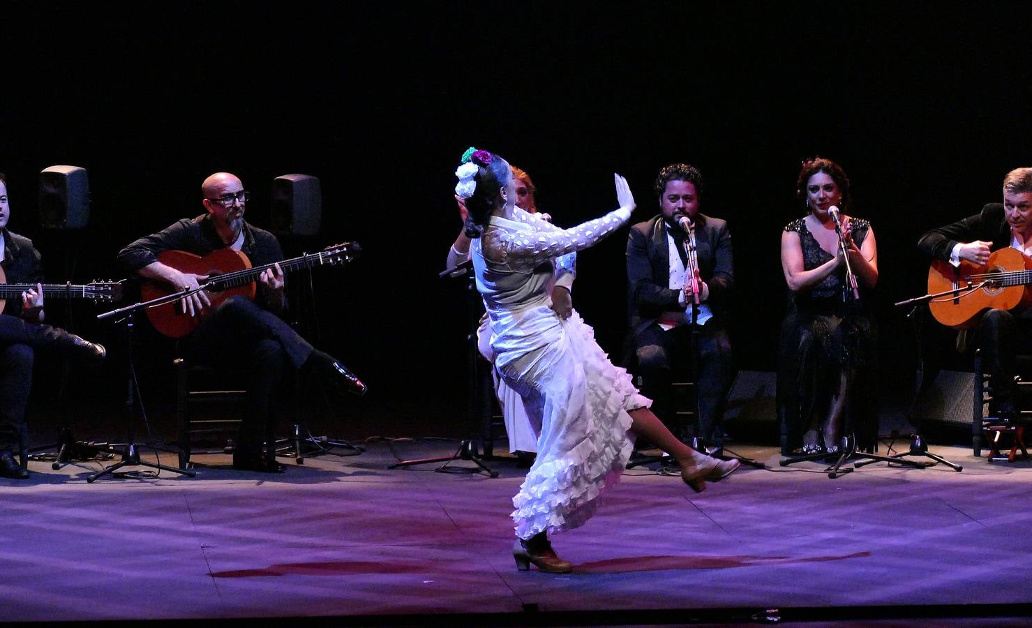 Gala flamenca a beneficio de Andex en el Teatro de la Maestranza