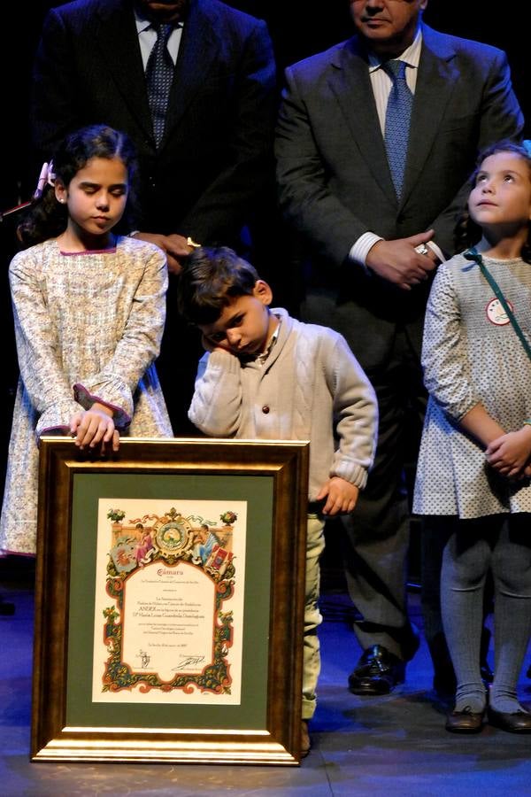 Gala flamenca a beneficio de Andex en el Teatro de la Maestranza