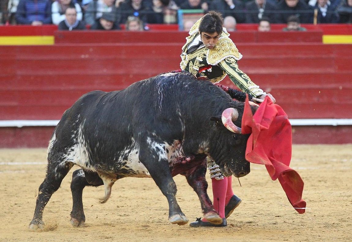 Feria de Fallas - Perera. 