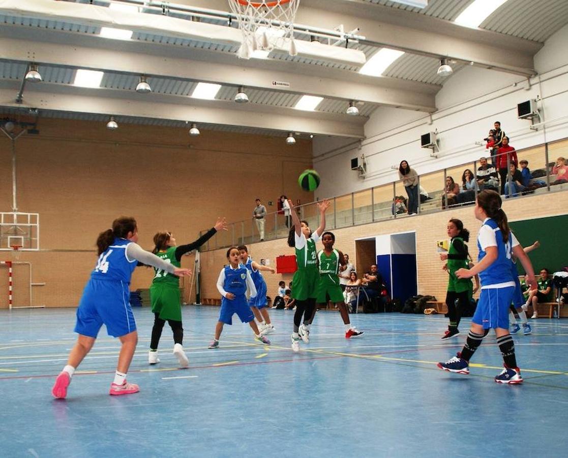 Miramadrid «B» - BVM Irlandesas «C»