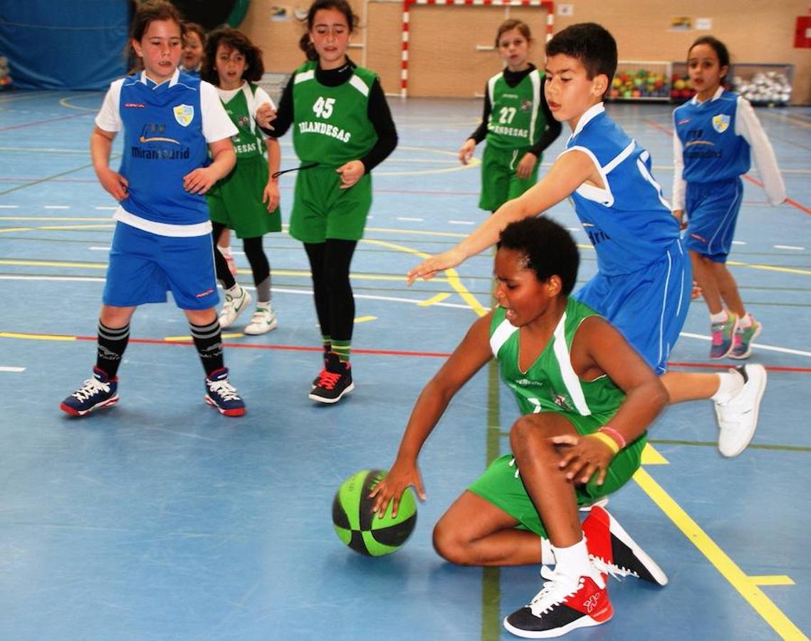 Miramadrid «B» - BVM Irlandesas «C»