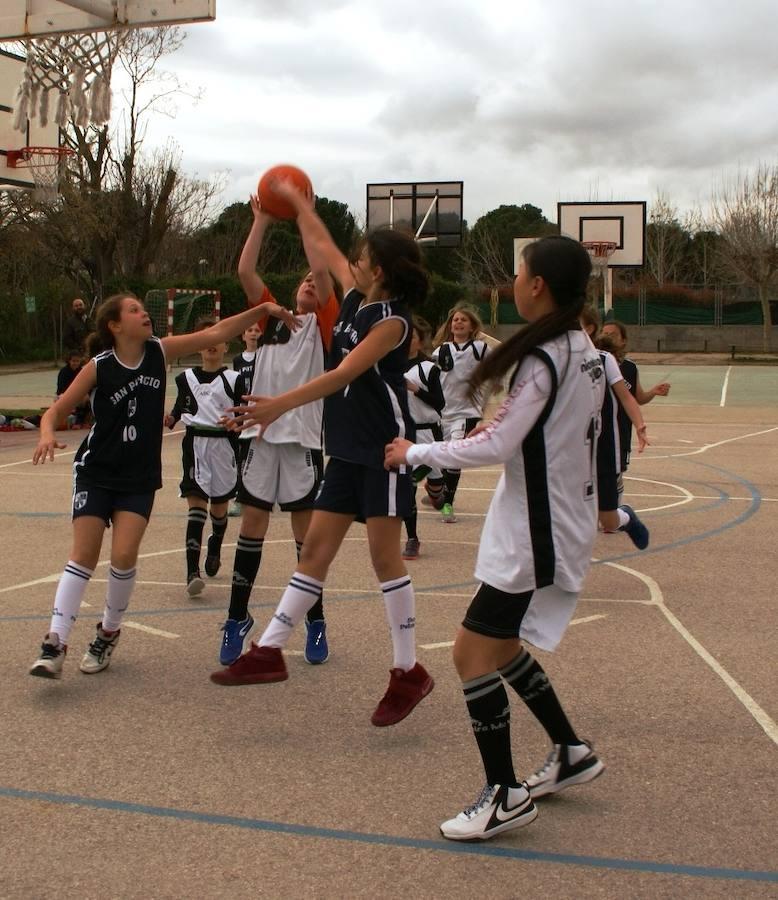 Bernadette - San Patricio