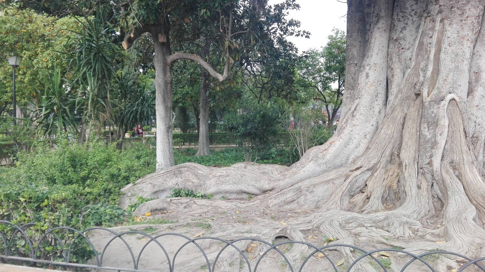 Uno de los elmentos más fotografiados de los jardines