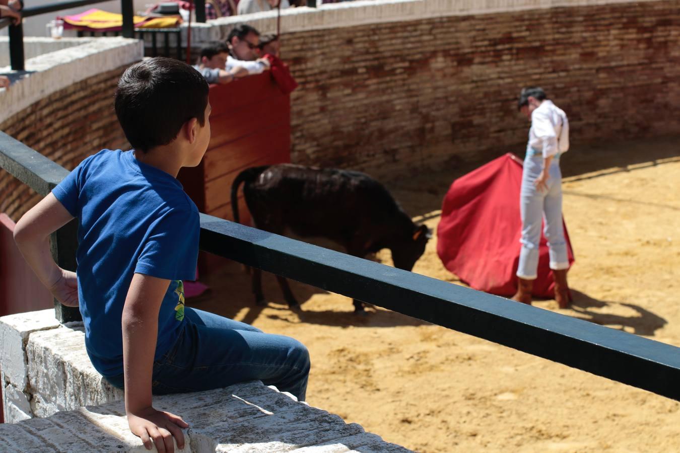 El tentadero, en imágenes