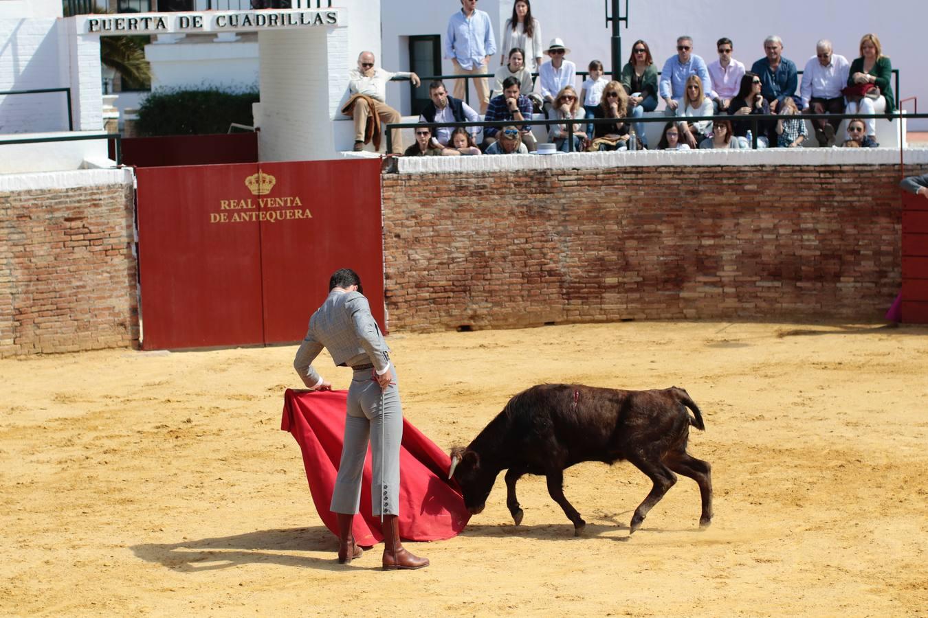 El tentadero, en imágenes