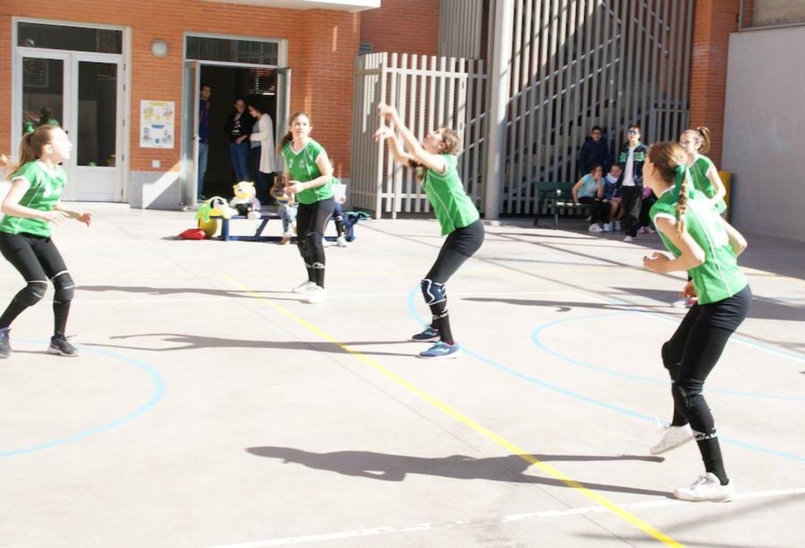 Voleibol infantil femenino: N. S. Carmen voleibol vs. Sagrada Familia Oberón